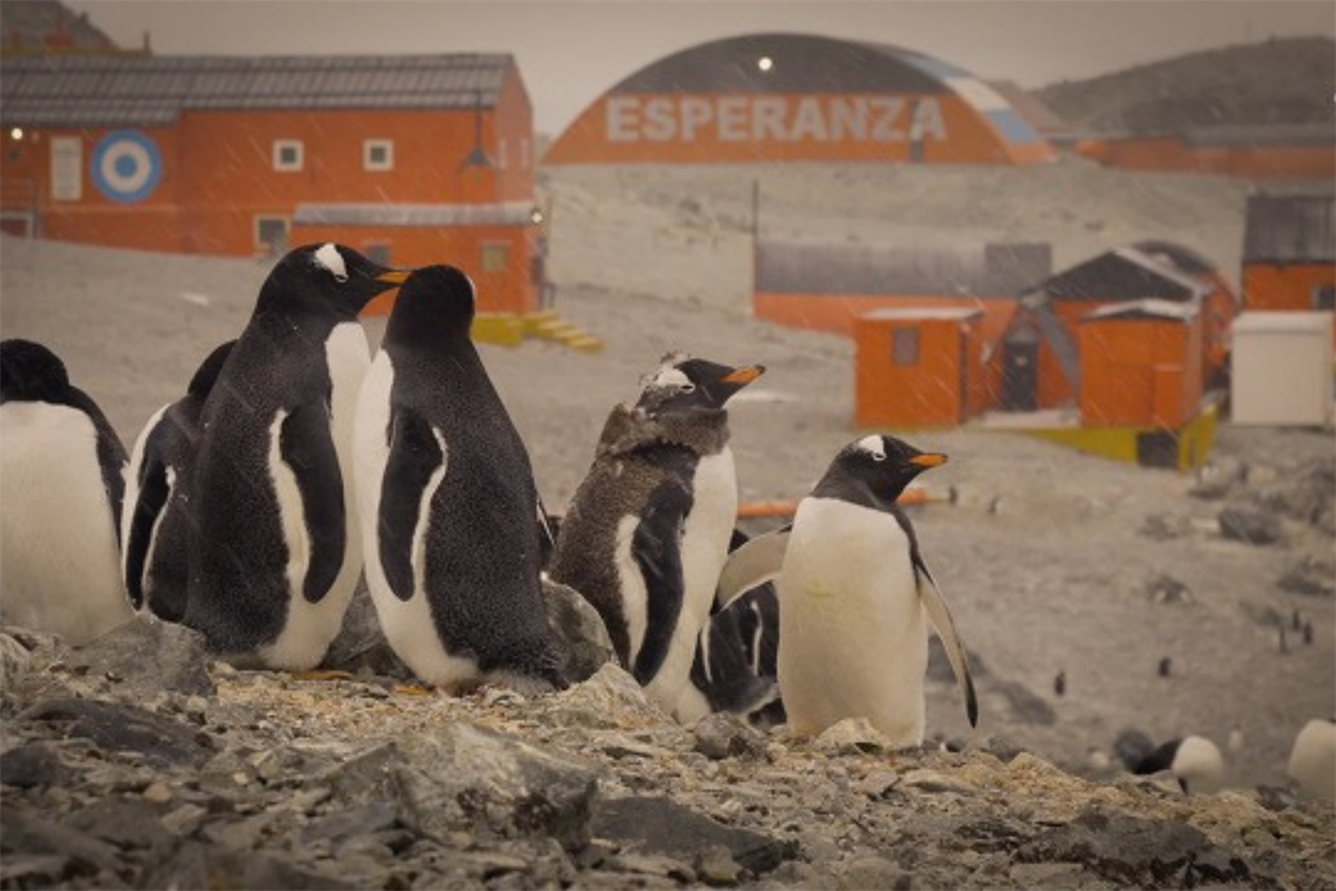 Only Distrib Secures International Deals for Did You Know and Factual Slate Across Europe and Canada